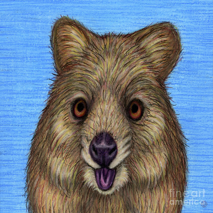 Cheerful Quokka Painting by Amy E Fraser