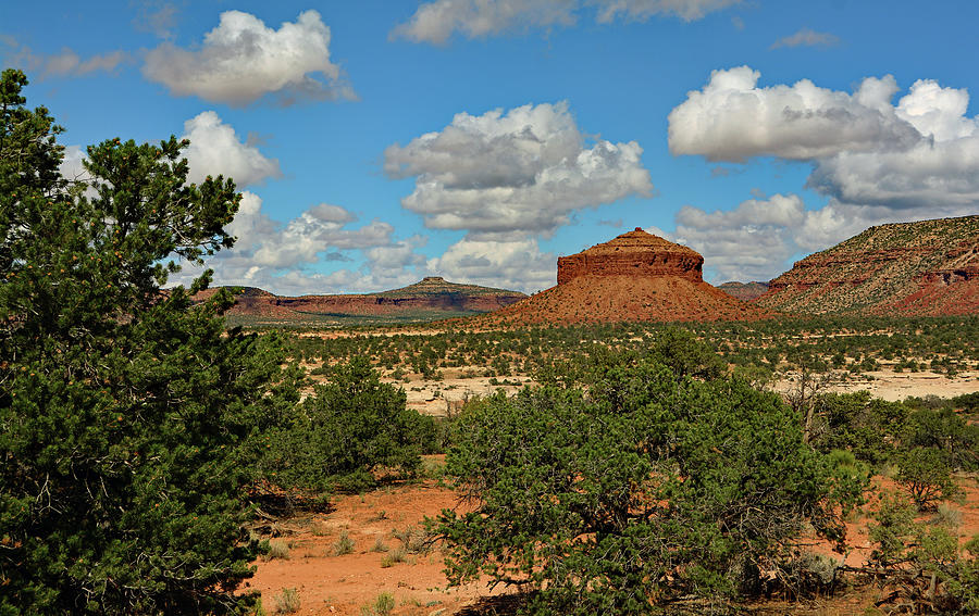 Cheese Box Butte Photograph by Ben Prepelka