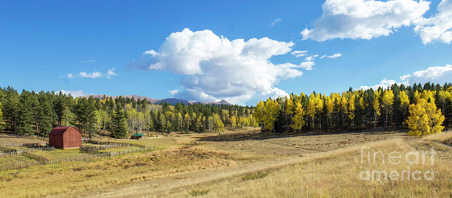 Cheesman Ranch Trail Colorado Photograph by Shirley Dutchkowski