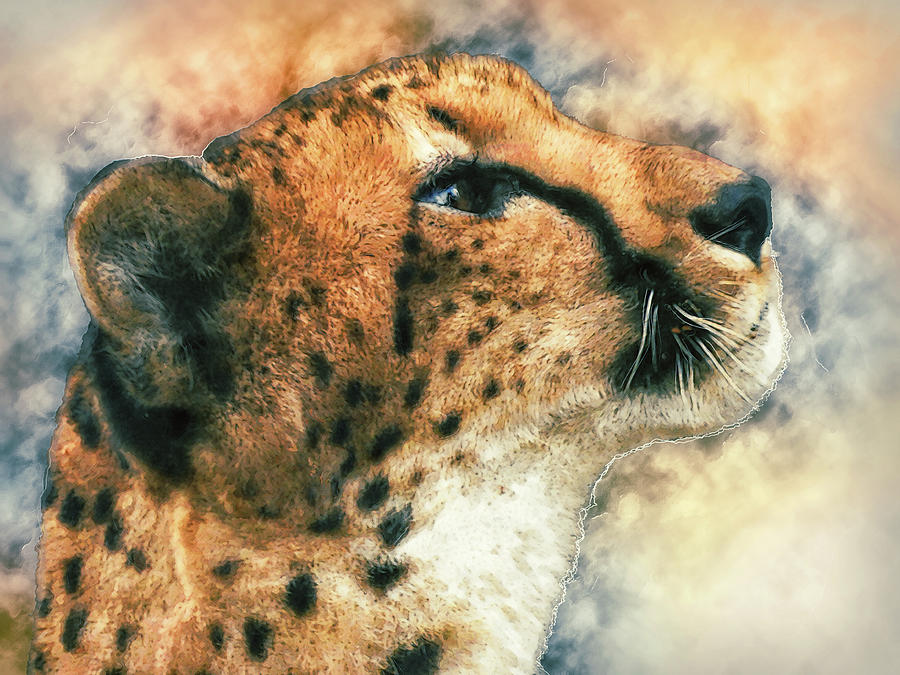 Cheetah Artwork Digital Art by Kirsty Nadine - Fine Art America