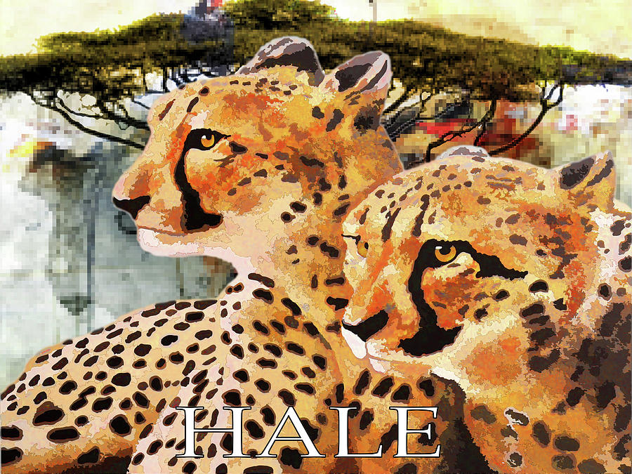 Animal Digital Art - Cheetah Brothers by Roger D Hale