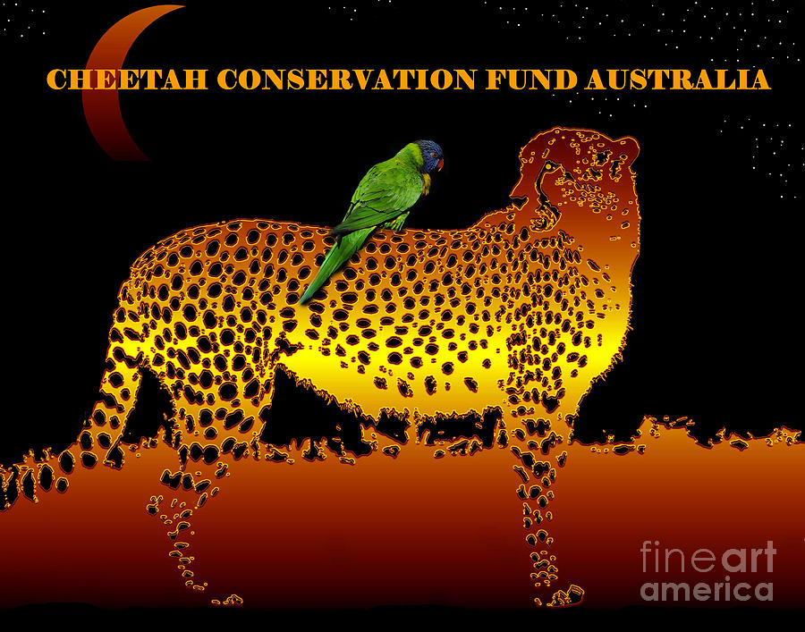 Cheetah Conservation Fund Australia Cheetah and Rainbow Lorikeet work A Mixed Media by David Lee Thompson