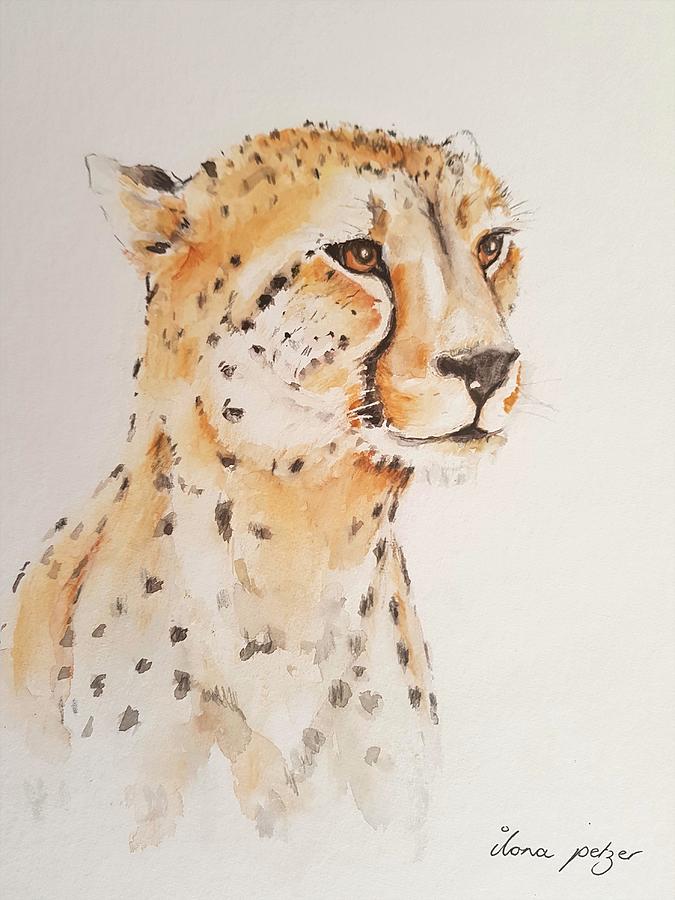 Cheetah Painting by Ilona Petzer