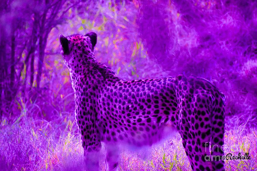 Cheetah in purple Painting by Rachelle Celebrity Artist | Pixels