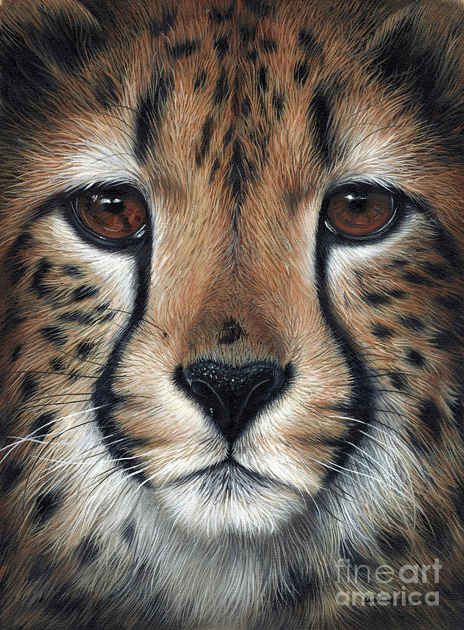 Cheetah oil painting Painting by Sarah Stribbling - Fine Art America