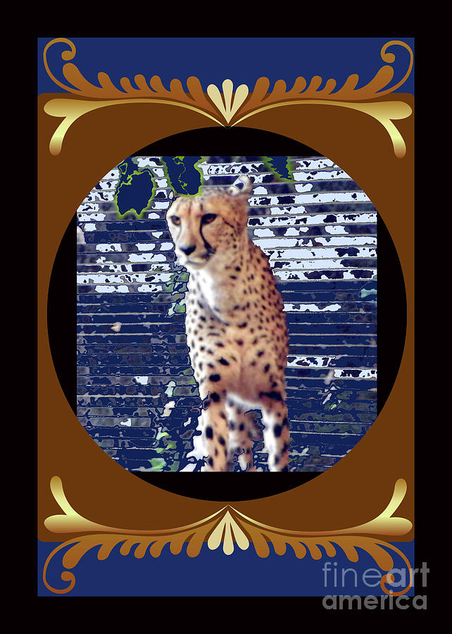 Cheetah Photograph by Shirley Moravec