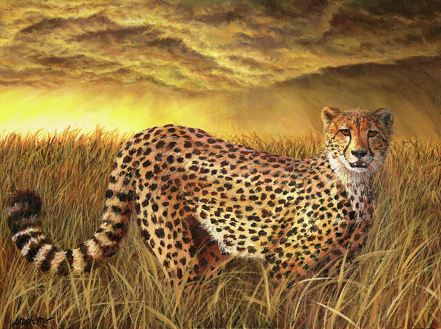 Cheetah Painting - Cheetah by Steph Moraca
