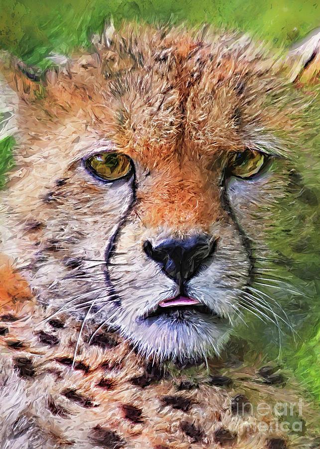 Cheetah Wild Cat #cheetah Digital Art by Justyna Jaszke JBJart