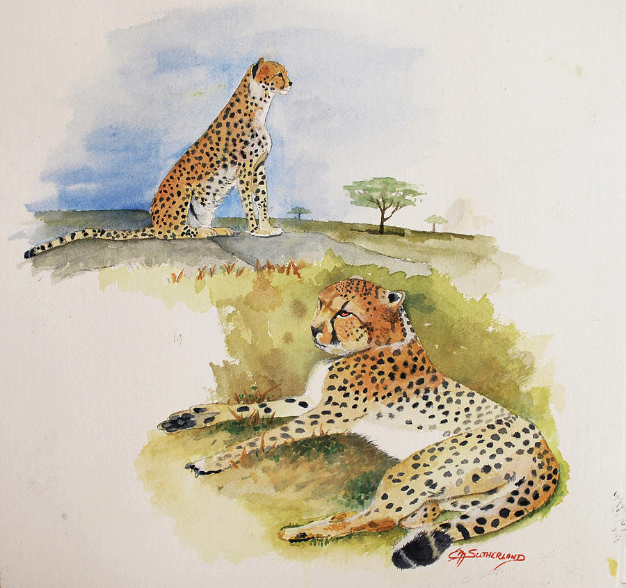 Cheetahs Resting and Watching Painting by E M Sutherland
