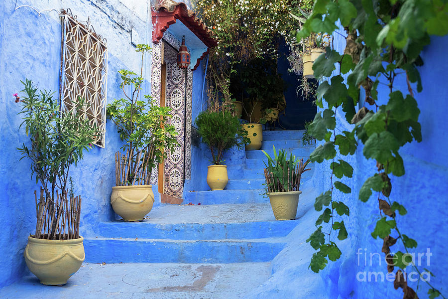Chefchaouen 20 Photograph by Rick Piper Photography