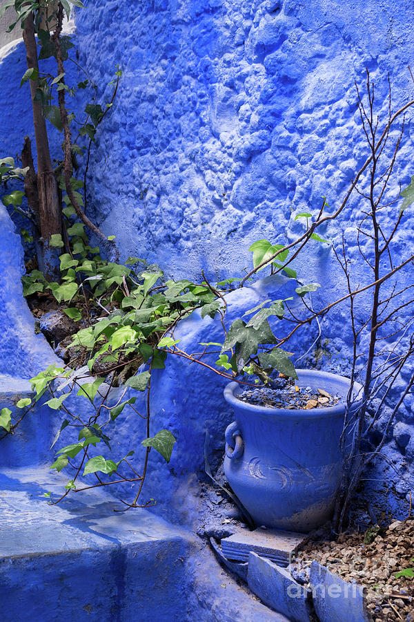 Chefchaouen Plant Pot 02 Photograph by Rick Piper Photography