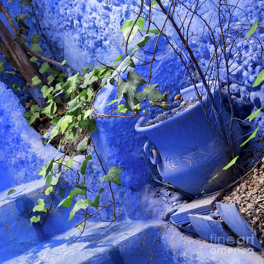 Chefchaouen Plant Pot 03 Photograph by Rick Piper Photography