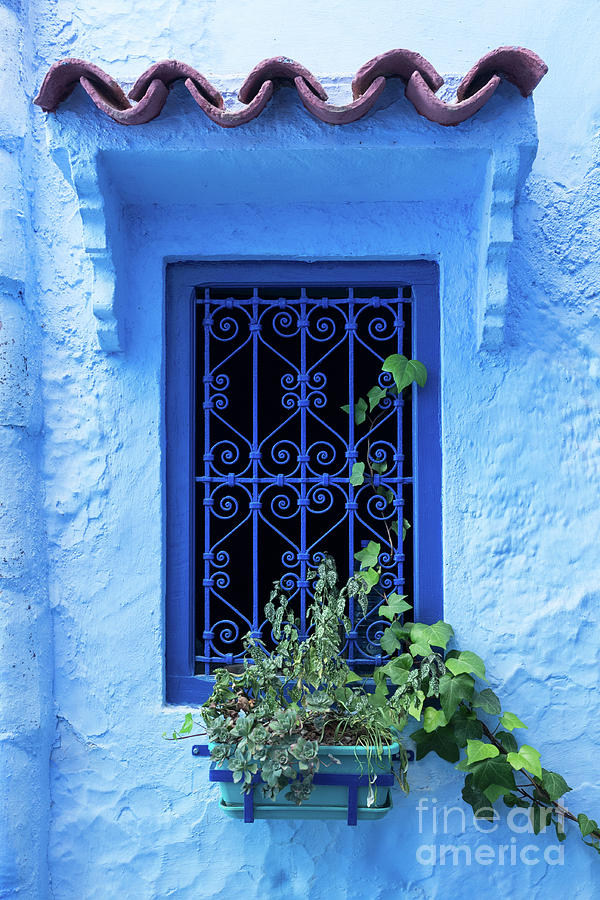 Chefchaouen Window Grille 05 Photograph by Rick Piper Photography