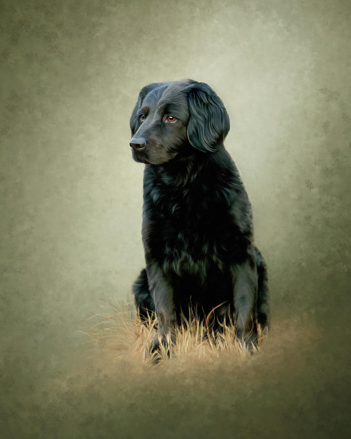 Pet Digital Art - Chelsea by Ann Lauwers
