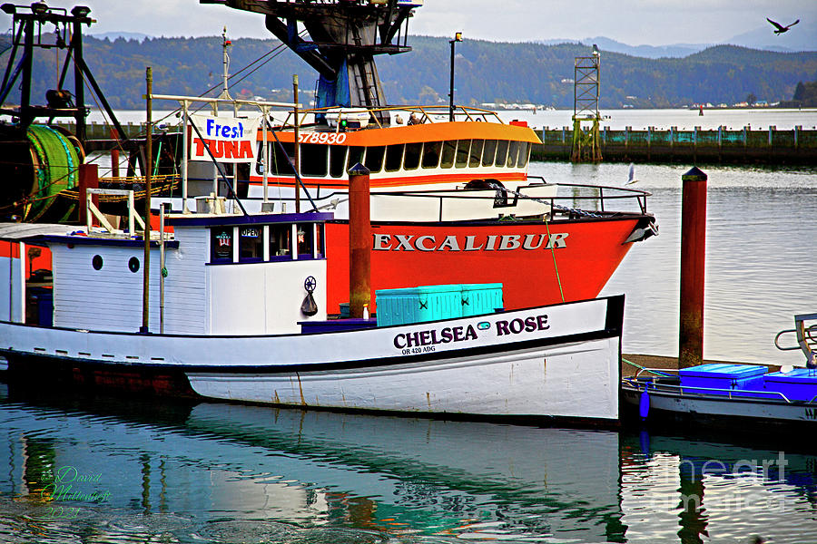 Chelsea Rose and Excalibur Alaska Fishing Canvas Art Photograph by David Millenheft