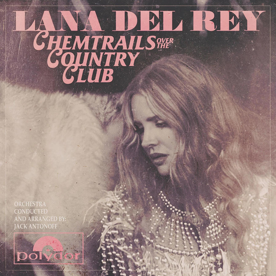 Chemtrails Over The Country Club Poster Lana Del Rey Digital Art By Lightenings Hiights Pixels 6020