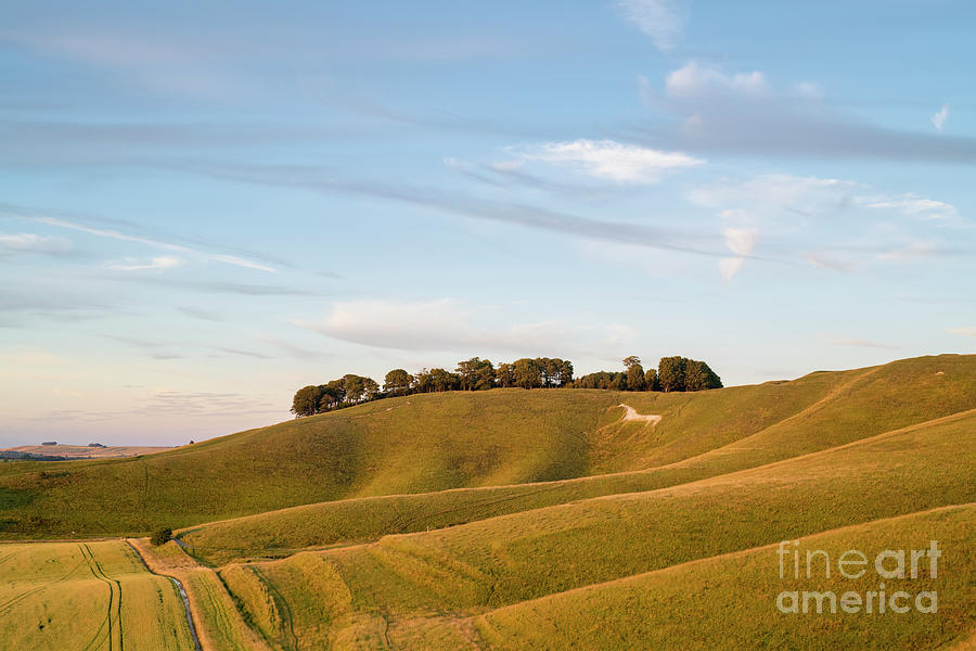 Cherhill White Horse at Sunset Photograph by Tim Gainey