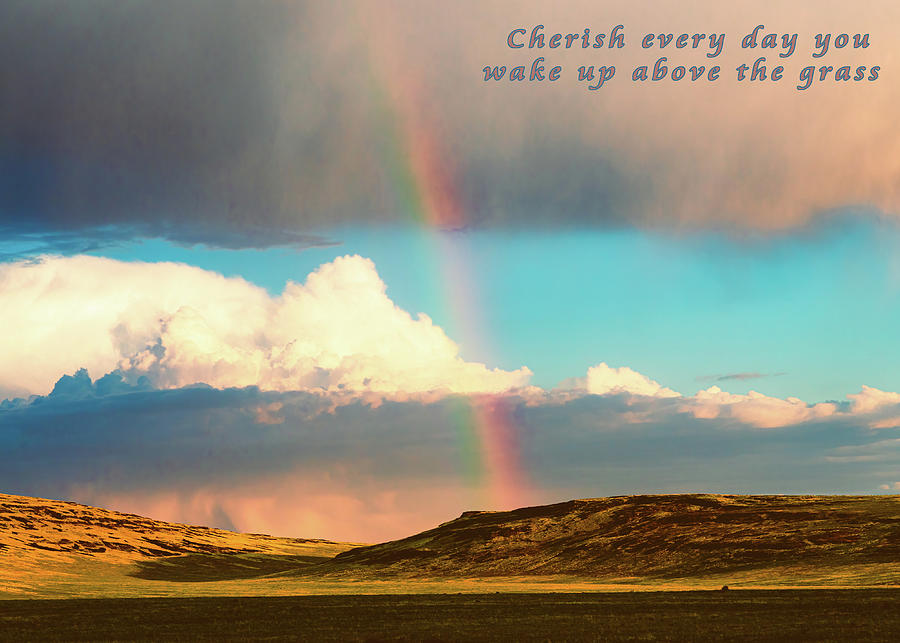 Cherish Every Day Photograph by Mike Lee