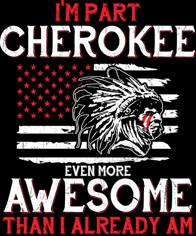 Cherokee Native American USA Flag Funny Digital Art by Michael S - Fine Art  America