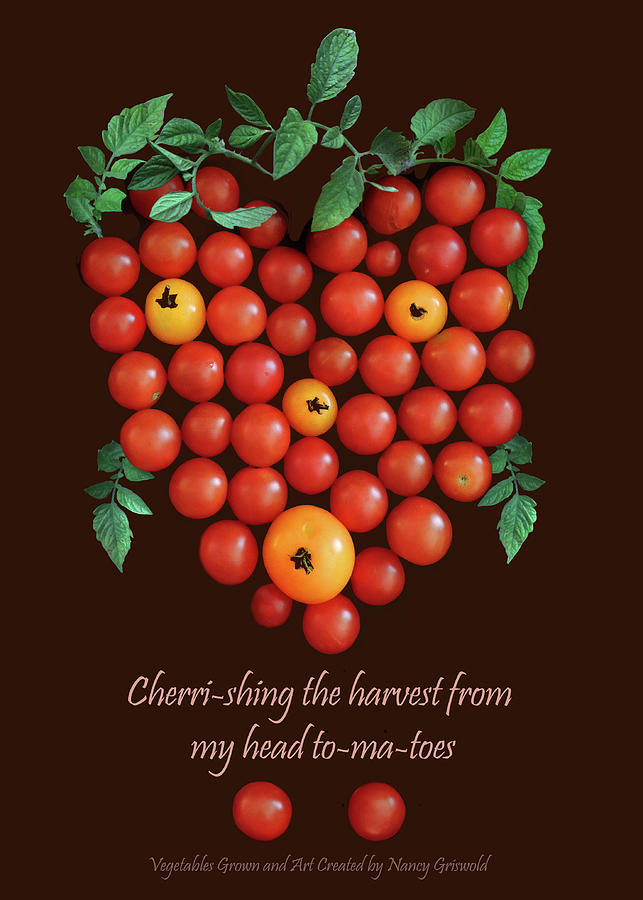 Cherri-shing the Harvest Photograph by Nancy Griswold