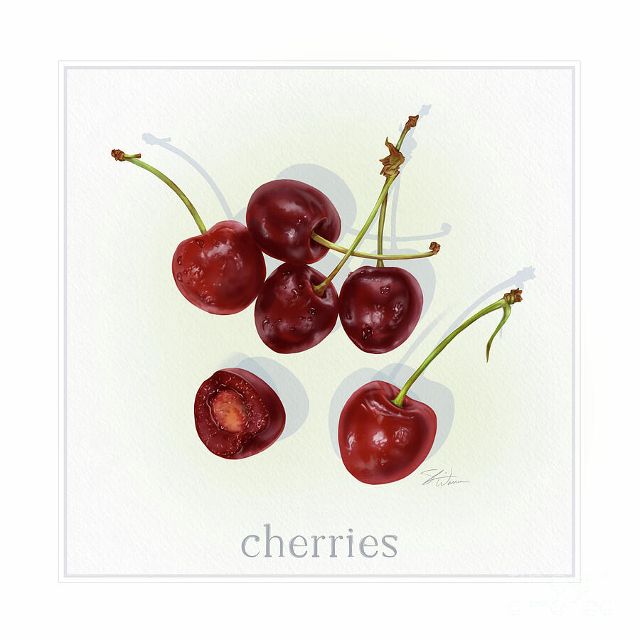 Cherries Fresh Fruits Mixed Media by Shari Warren