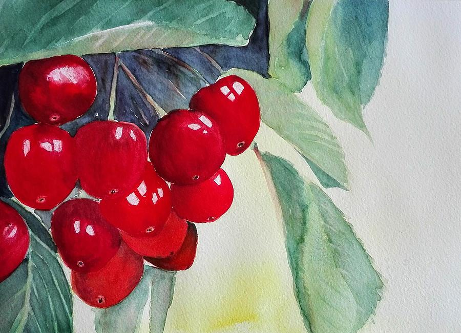 Cherries Painting by Sandie Croft