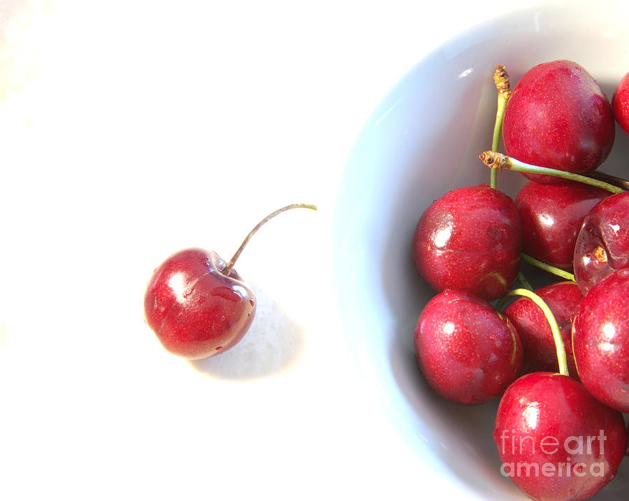 Cherry and Cherries Photograph by Kae Cheatham