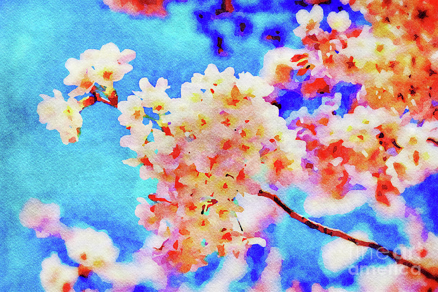 Spring Photograph - Cherry Blossom against a Bright Blue Sky, Watercolour by Colin and Linda McKie