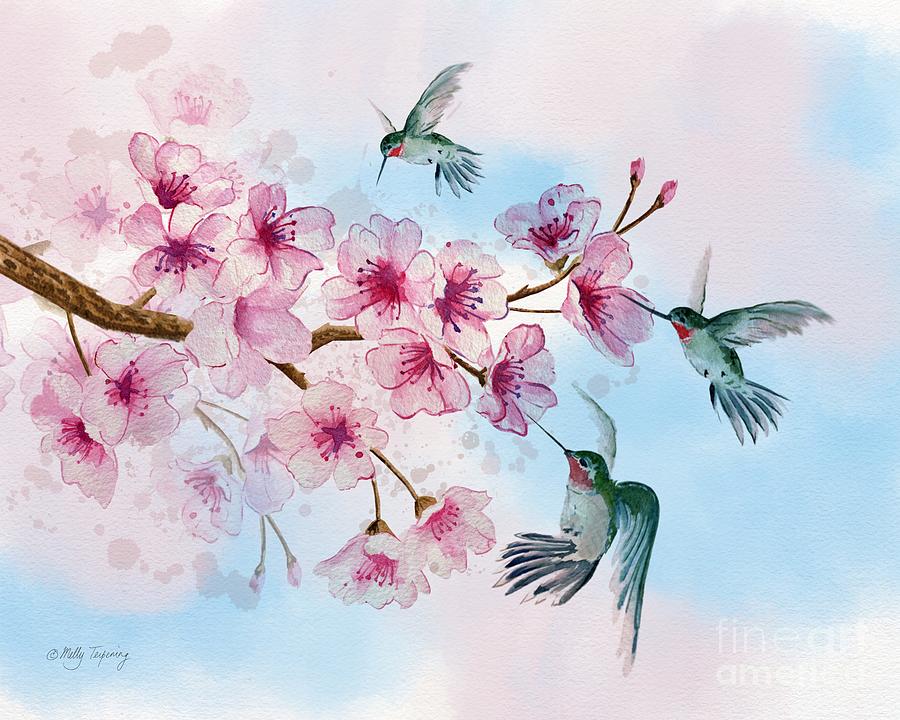 Cherry Blossom and Hummingbirds Painting by Melly Terpening