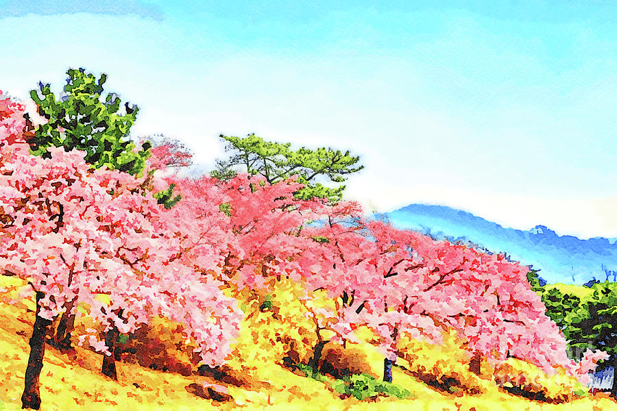 Flower Photograph - Cherry Blossom at Bulguksa Temple, South Korea, Watercolor by Colin and Linda McKie