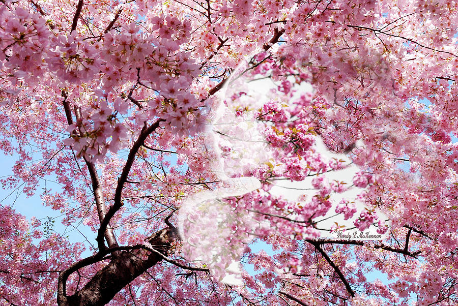 Cherry Blossom Girl Photograph by Wendy McKennon
