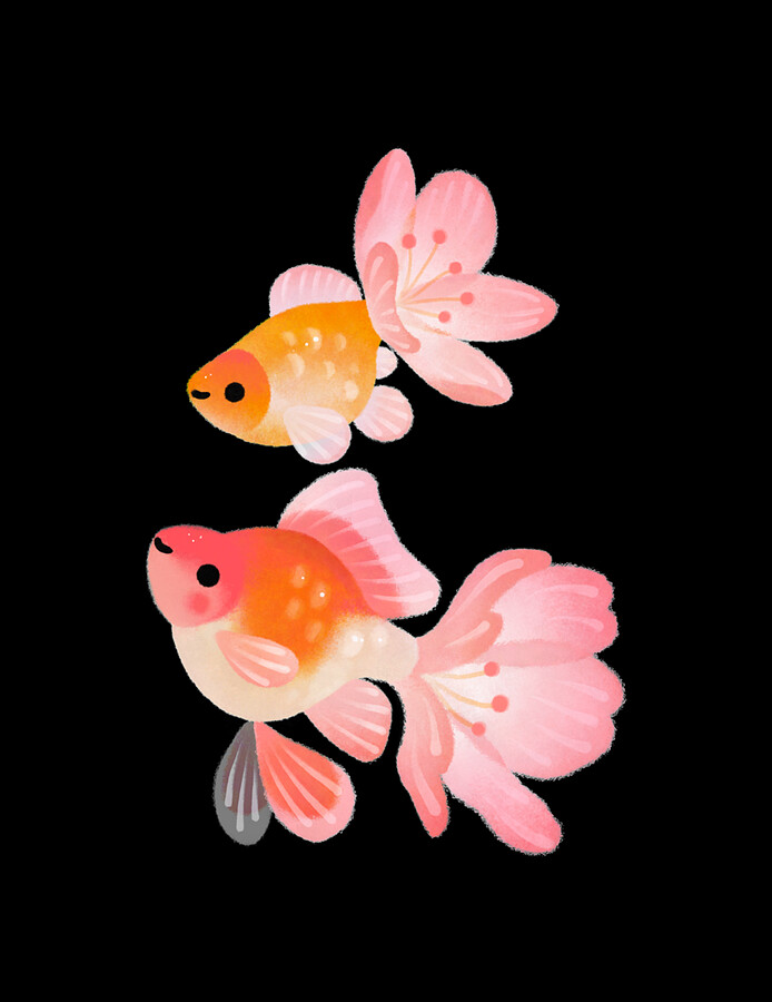Cherry blossom goldfish 1 Photograph by Aiyana Zulauf Fine Art America