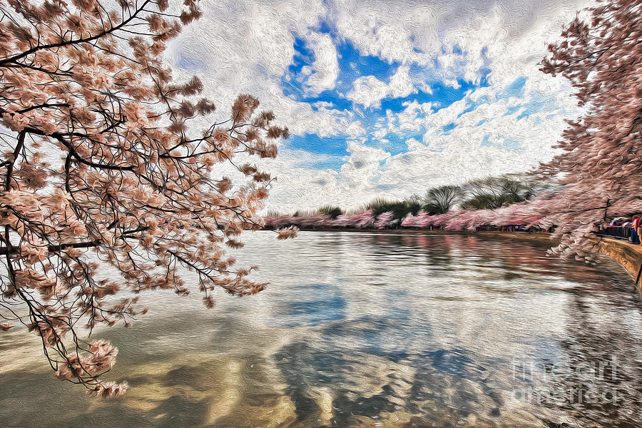 Cherry Blossom Impressions Photograph by SCB Captures