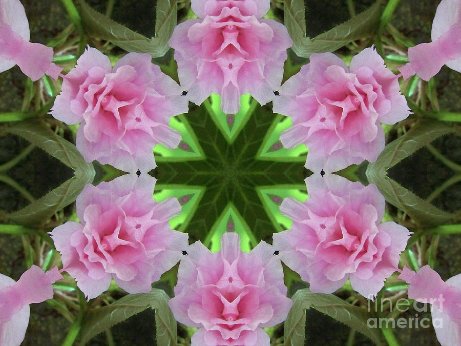 Cherry Blossom Kaleidoscope Digital Art by Charles Robinson