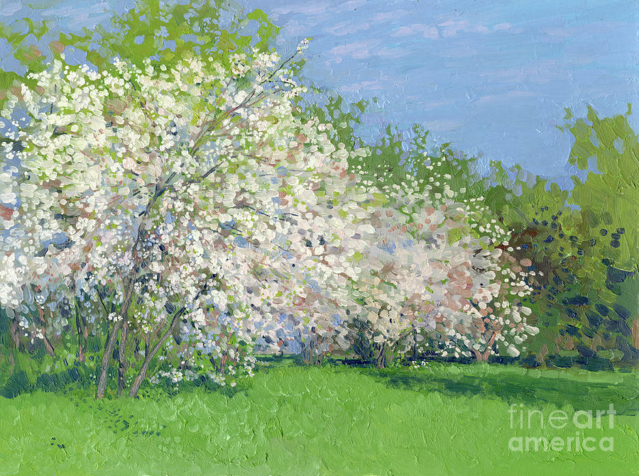 Cherry Blossom. Kolomenskoye Estate Painting