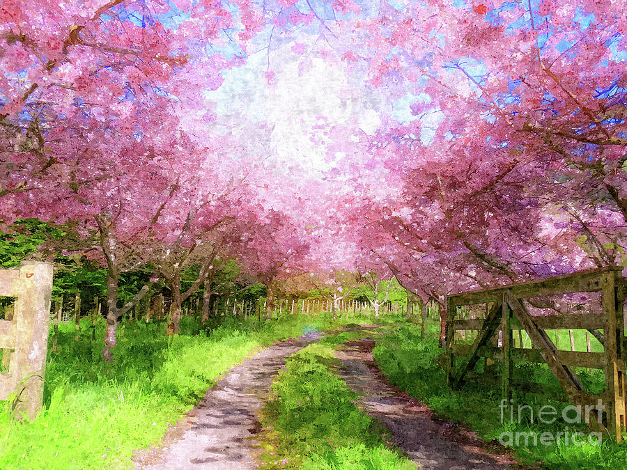 Cherry Blossom Lane Painting by Denise Dundon