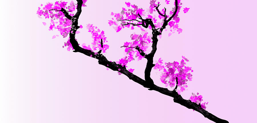 Cherry Blossom Digital Art by Roger Lighterness