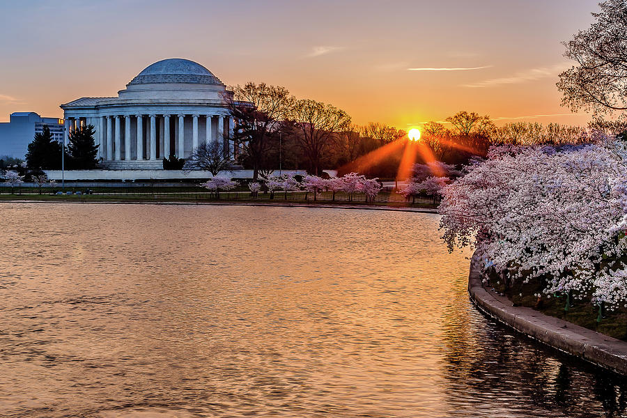 Cherry blossom sunrise Photograph by Robert Miller