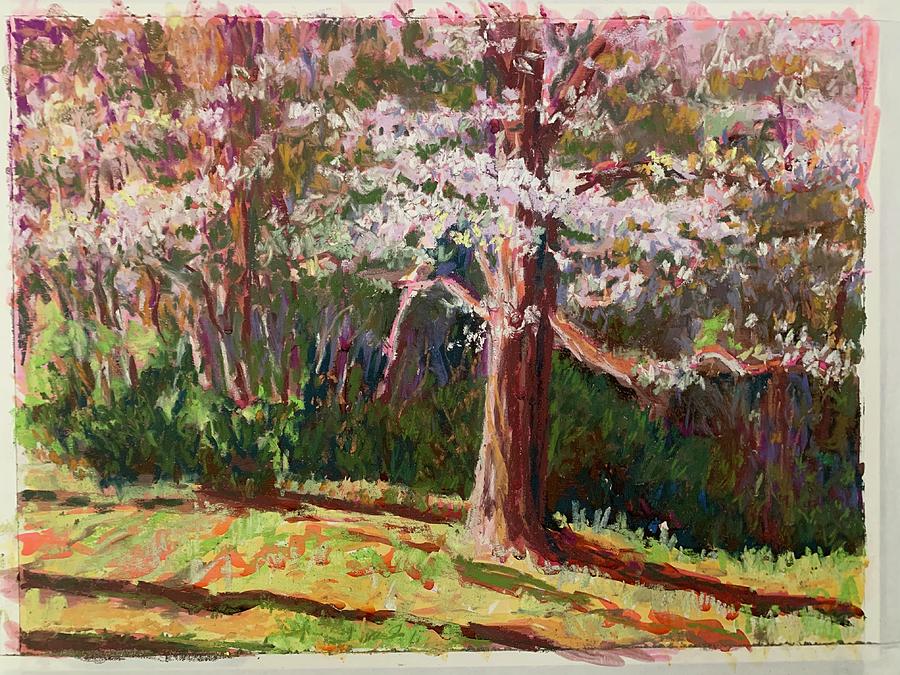 Cherry blossom Pastel by Tania Kaddeche | Fine Art America