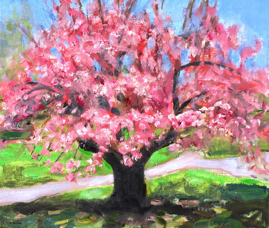 Cherry Blossom Tree in Central Park Painting by Robert Holden