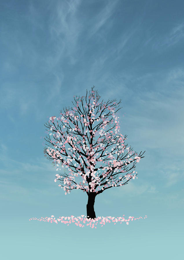 Cherry Blossom Tree Digital Art by Roger Lighterness