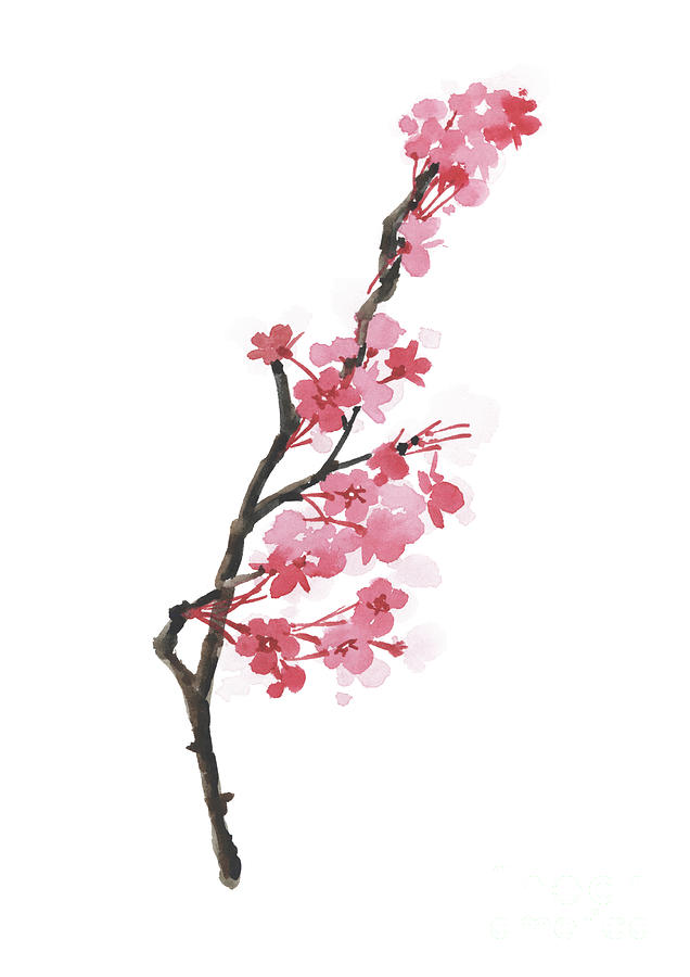 Cherry blossom wall decor, Cherry blossom watercolor painting, Cherry ...