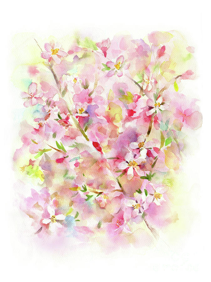 Cherry Blossom Watercolor Painting Painting by Tina Zhou