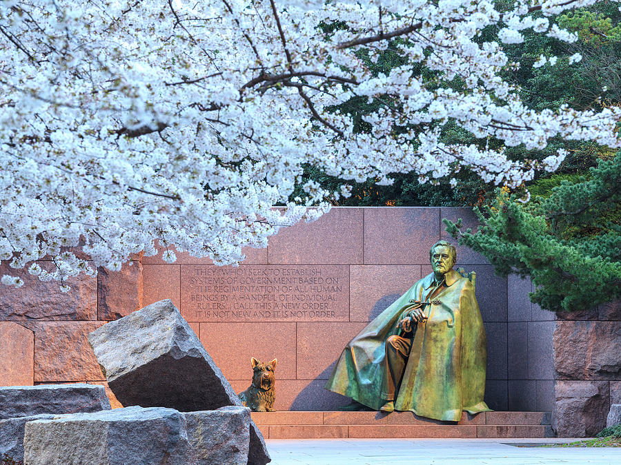 Cherry blossoms and Washington FDR monument Photograph by Steven Heap
