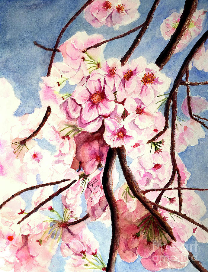Cherry Blossoms Painting by Bonnie Young - Fine Art America