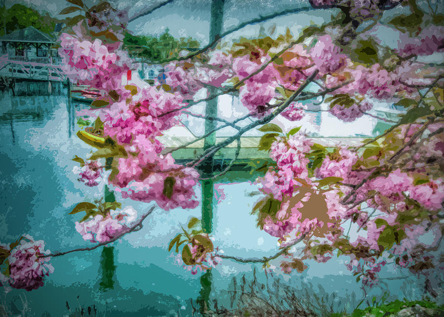 Cherry Blossoms By the Marina in Digital Oils Digital Art by Cordia Murphy