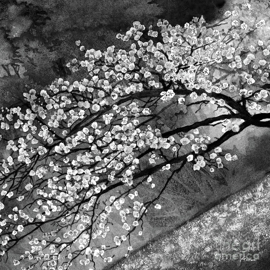Cherry Blossoms In Bloom - Black And Whtie Painting