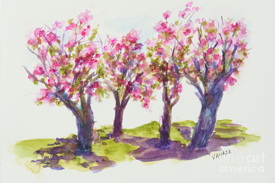 Cherry Blossoms - Kariya Park Photograph by Vanajas Fine-Art
