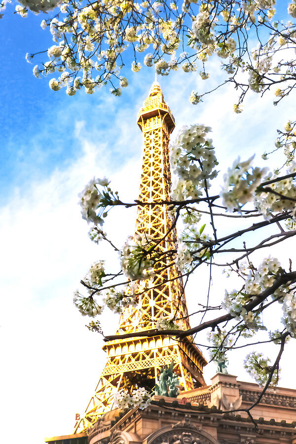 Cherry blossoms over Eiffel Tower, Las Vegas Photograph by Tatiana Travelways