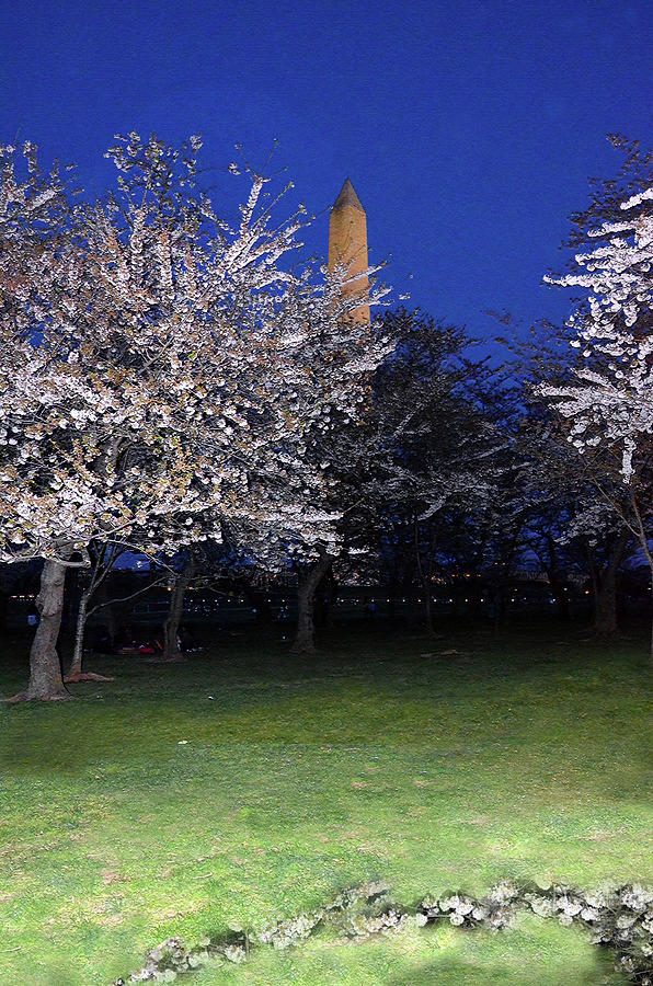 Nature Photograph - Cherry blossoms overlooking Washington monument 1 by Harsh Malik